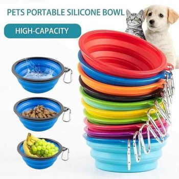 Foldable Pet Bowl