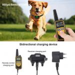 Electric dog training collar