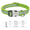 Nylon dog collar