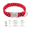 Nylon dog collar
