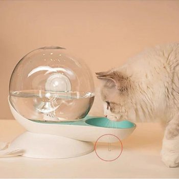 Pet Water Dispenser Snail Shaped Online