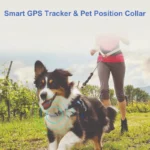 Pet Collar Gps Tracker Online