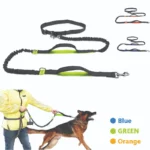 Running with elastic dog leash