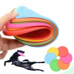 Silicone Flying Saucer