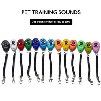 Dog Training Key