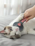 Cat Hair Cleaning Comb