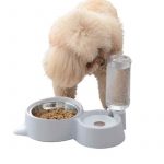 2-in-1 Pet Food and Water Bowls