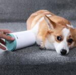 Portable Pet Paw Cleaner