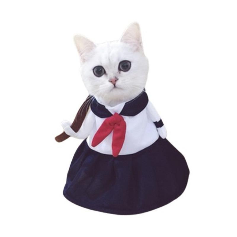 Cat Fancy Dress Outfits