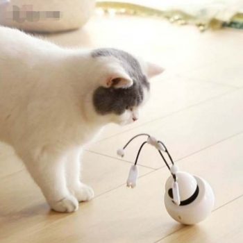Cat Toy Funny Cat Toy Three in One