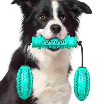 Dog Chew Toys Pet Toothbrush