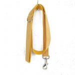 Dog collar traction rope