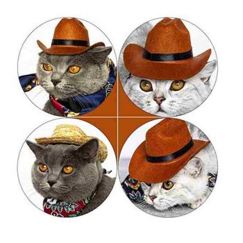 Pet Cat Western Straw Cowboy Hat Online
