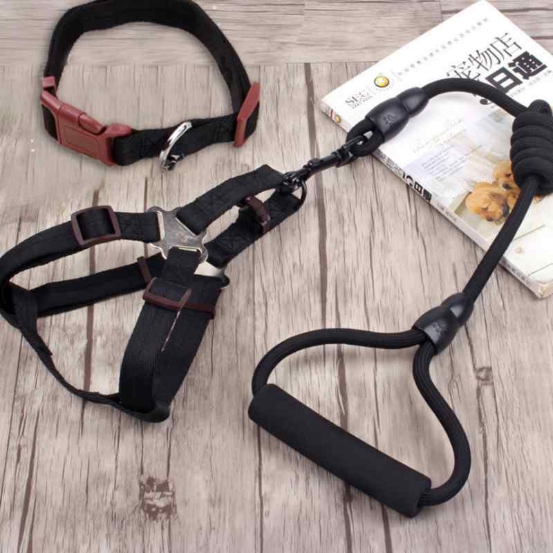Pet Chain Collar Harness Rope Online