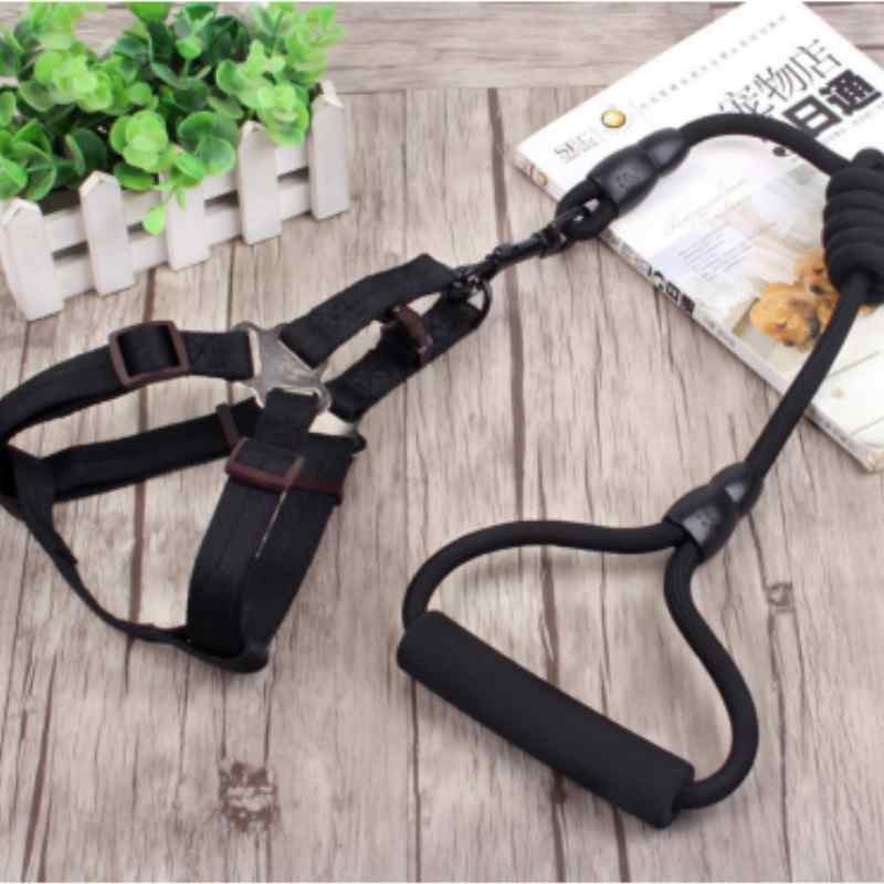 Pet Chain Collar Harness Rope