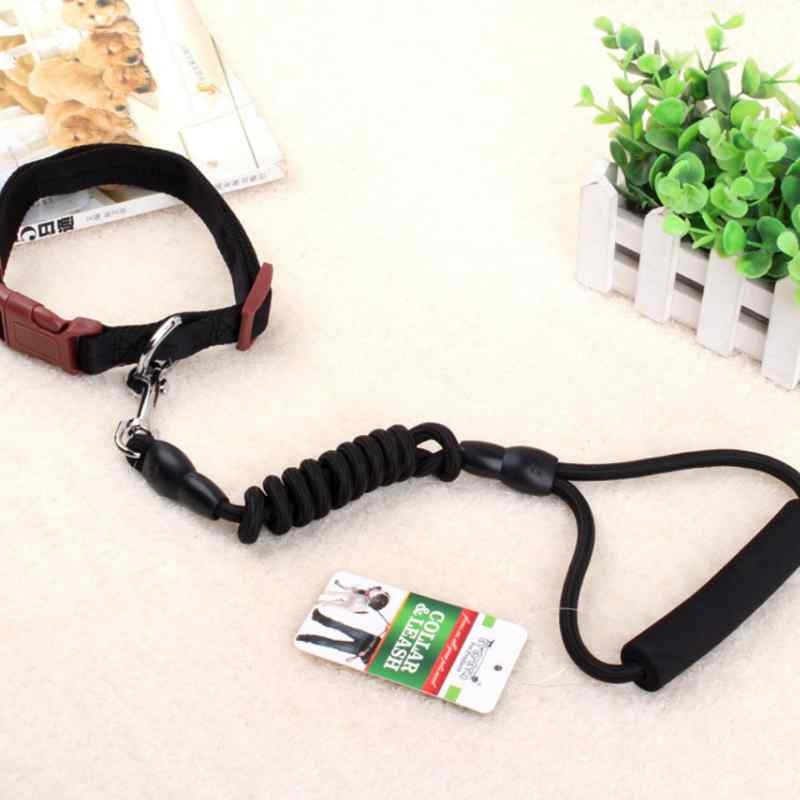 Pet Chain Collar Harness Rope