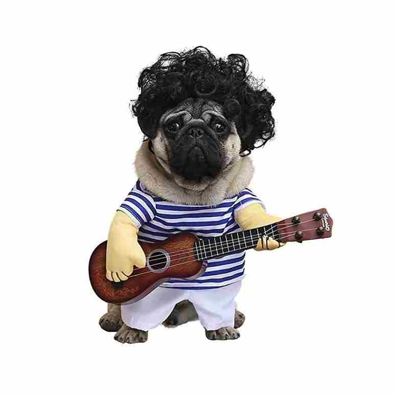 Pet Dog Guitarist Dress Online