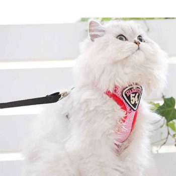 Pet Sling Nylon Collar Traction Rope Online