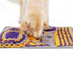 Pet Sniffing Pad Training Blanket Online