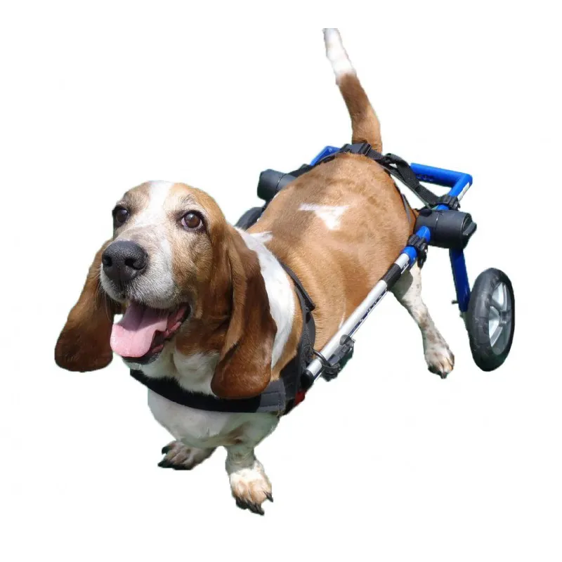 Pet Wheelchair Fully Adjustable Online