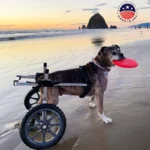 Pet Wheelchair Fully Adjustable Online