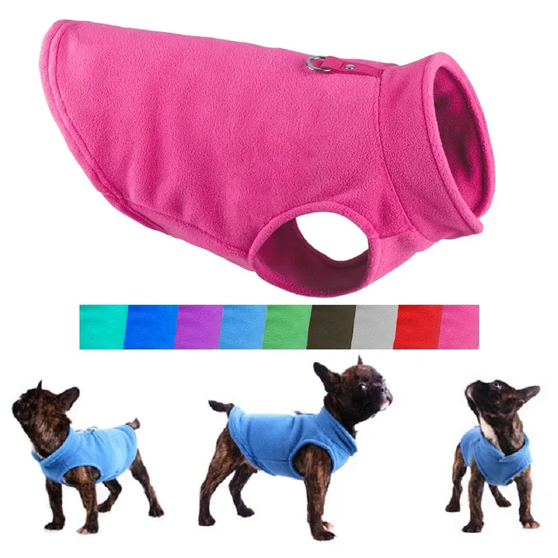 Small and medium sized dogs wearing fleece clothes