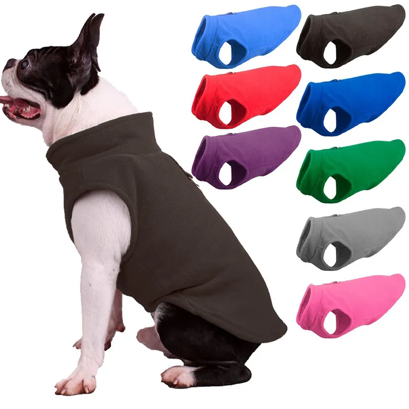 Small and medium sized dogs wearing fleece clothes