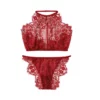 Lace Underwear Lingerie Set (1)