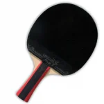 Ping Pong Paddle Set