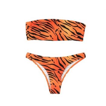 Sexy Leopard Prints Simple Bikini Fashion Swimwear Women